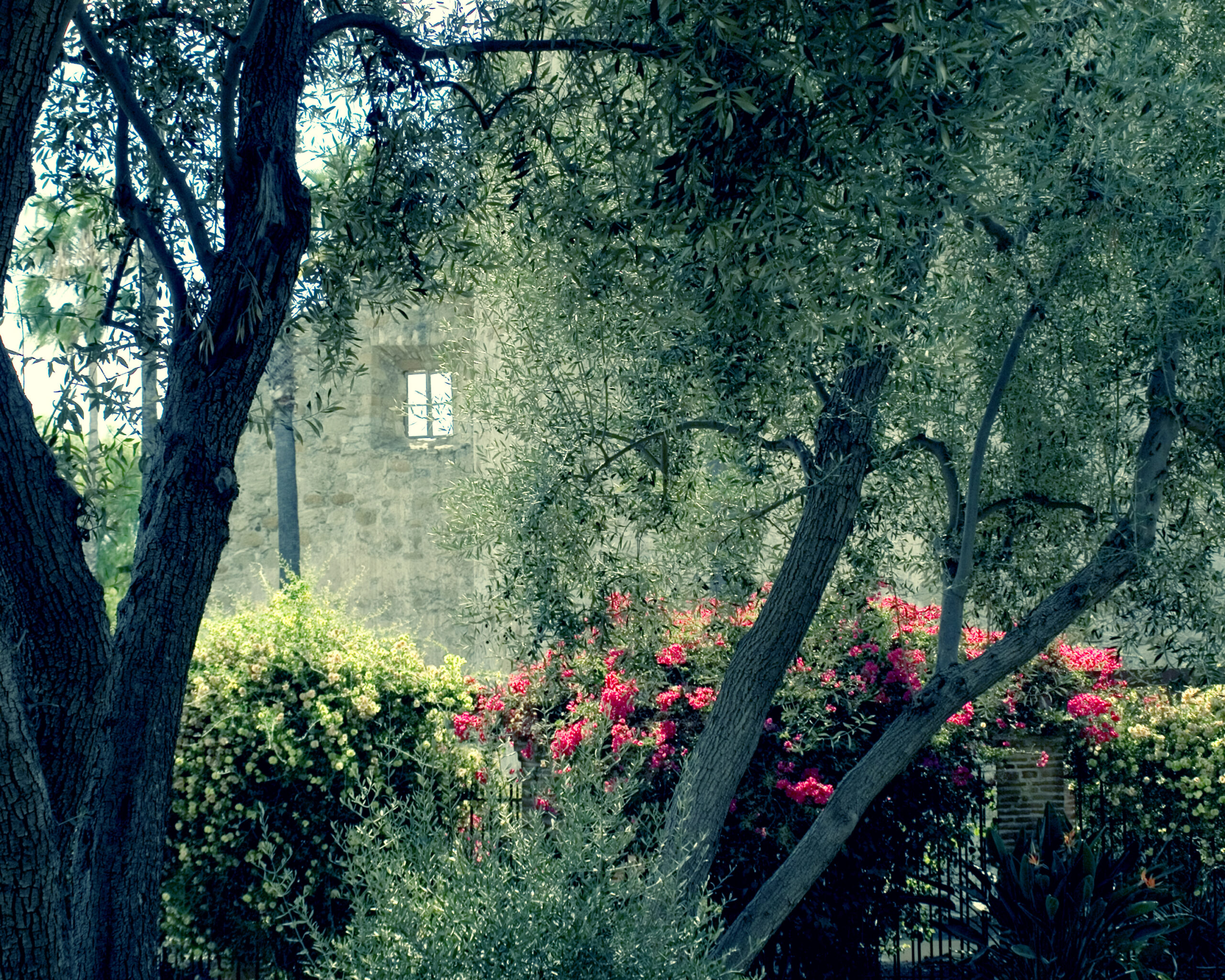 a window in a broken down wall surrounded by trees, foliage and pink flowers